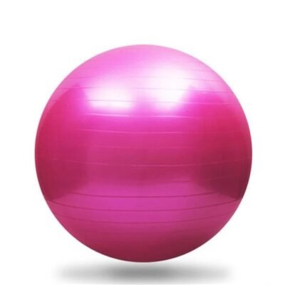 Ballon de Gymnastique 55 cm - Rose