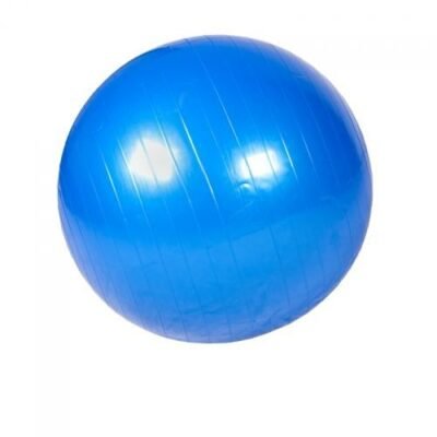 Ballon de Gymnastique 55 cm - Bleu