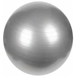 Ballon de Gymnastique 55 cm - Gris